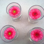 flowers in a glass